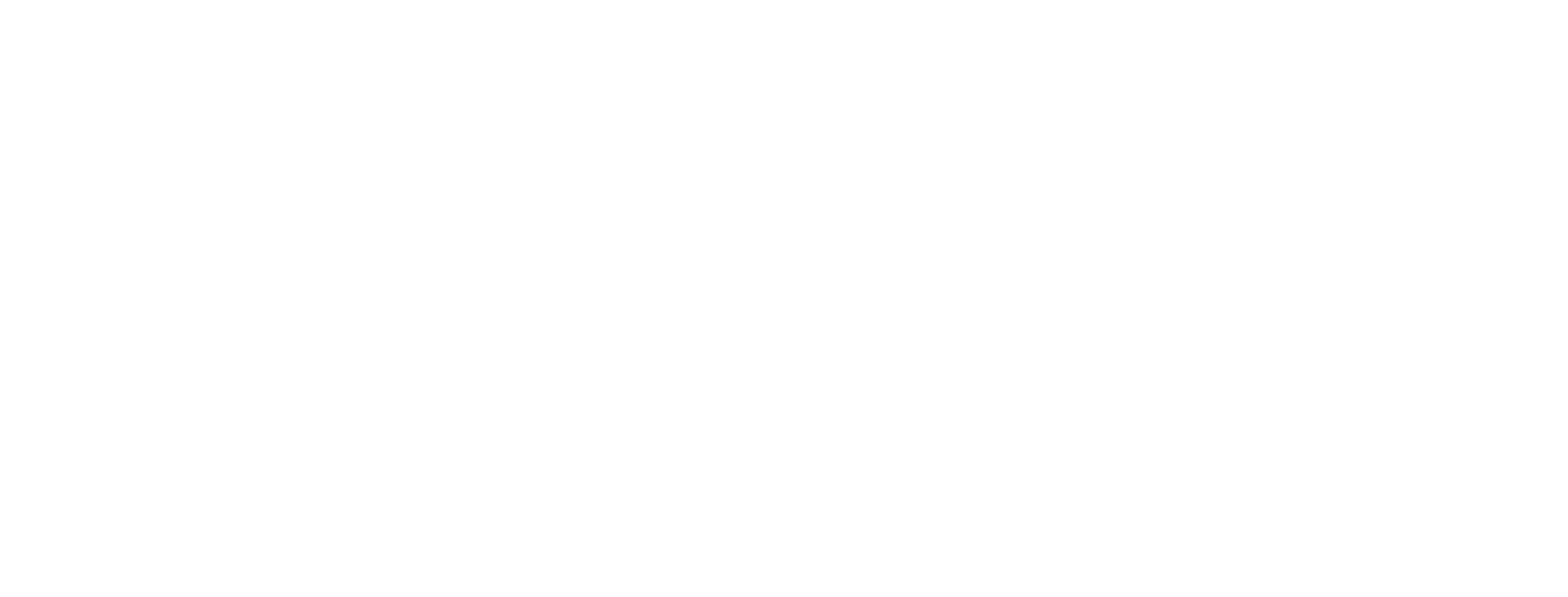 NERO-X_logo-white_new-version.png NERO-X Wireless